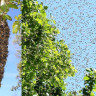 G6qX6jasBiSlpPoM4SrgeEgdnugB4ub24IyO2sJ5sSOAwgBUhNkUdBFt7KdlH7keryo8OzVwtFylPJDyt-ry35m1ZNbWXRIaHENVHDWIcQ2Rl047zpvhsoTtWkeymOAEg0zu7qc2rwU0Vj_TrOd5q0tDoZVKmdXziSxzKAhC2-9RTW1kdwbMblno8B5JrJpOH9juaY1PXW6_8b1SArD9m8